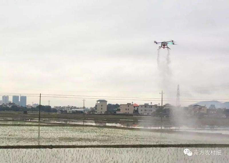 富硒大米 南方农村报(富硒大米市场前景)-硒宝网