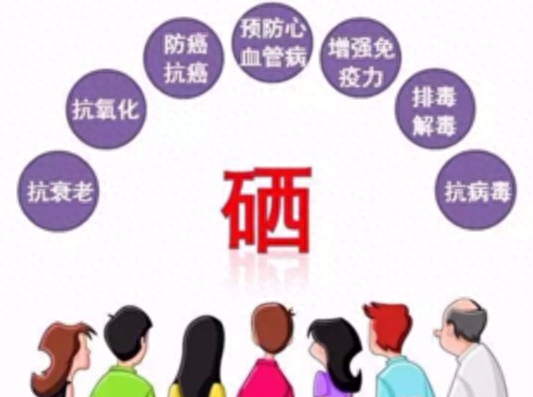 中国科学补硒健康科学(科学补硒健康中国主办单位是)-硒宝网