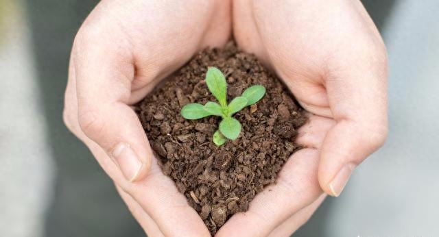 中国科学补硒健康科学(科学补硒健康中国主办单位是)-硒宝网