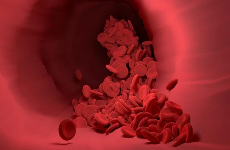 成人每天补多少硒元素（每天补充硒元素）-硒宝网