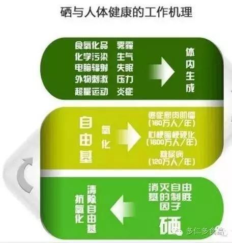 补硒可以提高精子活力(弱精补硒)-硒宝网