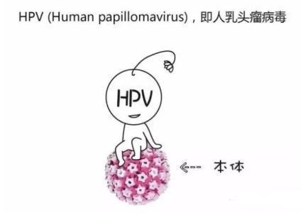 hpv患者可以补硒么(什么东西可以补硒)-硒宝网