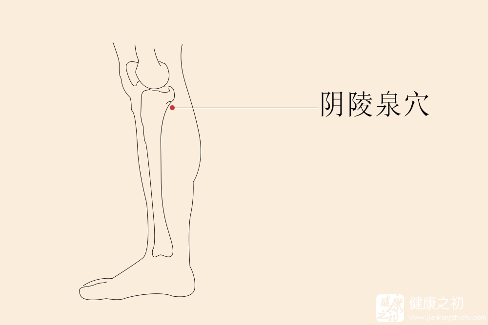 透析患者如何补硒补钙（经常透析人可以吃硒吗）-硒宝网
