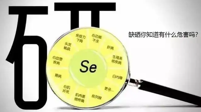 什么状况需要补硒元素（补硒元素的作用）-硒宝网