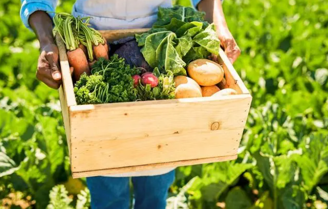 什么状况需要补硒元素（补硒元素的作用）-硒宝网