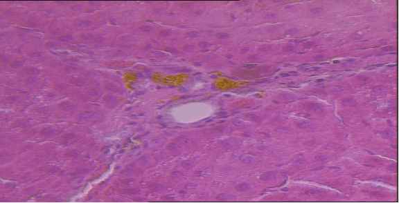 我县开展补硒宣传活动（全民补硒视频宣传）-硒宝网