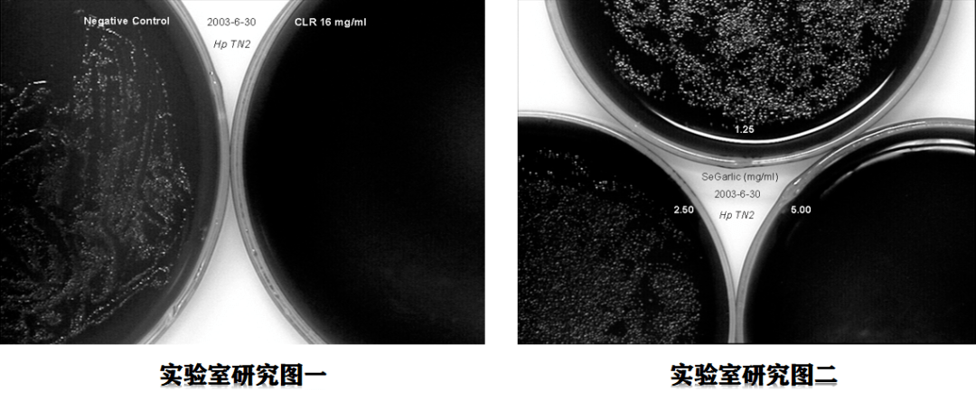 我县开展补硒宣传活动（全民补硒视频宣传）-硒宝网