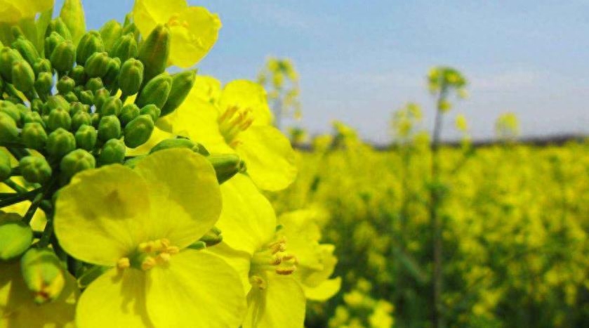 什么年龄补硒最好吸收(补硒从什么年龄起比较好)-硒宝网