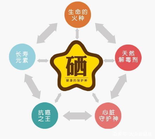 吃补硒的食物都有什么(硒可以食补吗)-硒宝网