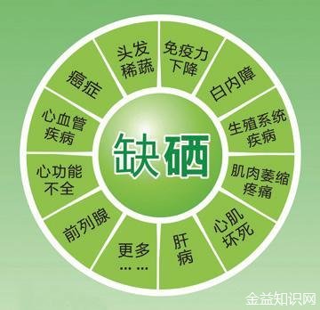 吃补硒的食物都有什么(硒可以食补吗)-硒宝网