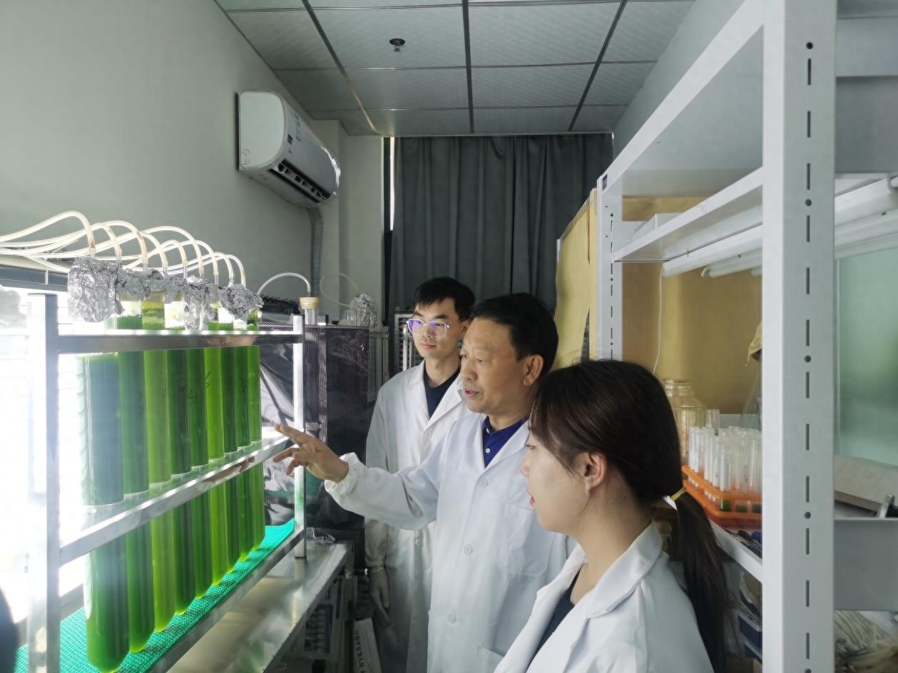 我市开展补硒宣传活动(国家为什么要开展全民补硒工程)-硒宝网