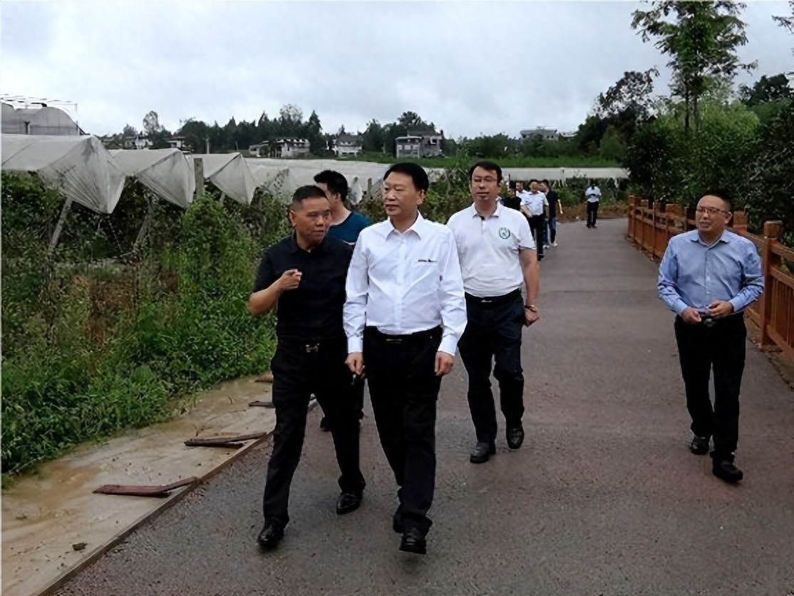 我市开展补硒宣传活动(国家为什么要开展全民补硒工程)-硒宝网