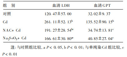 补硒对血压有什么好处（补硒对高血压有什么好处）-硒宝网