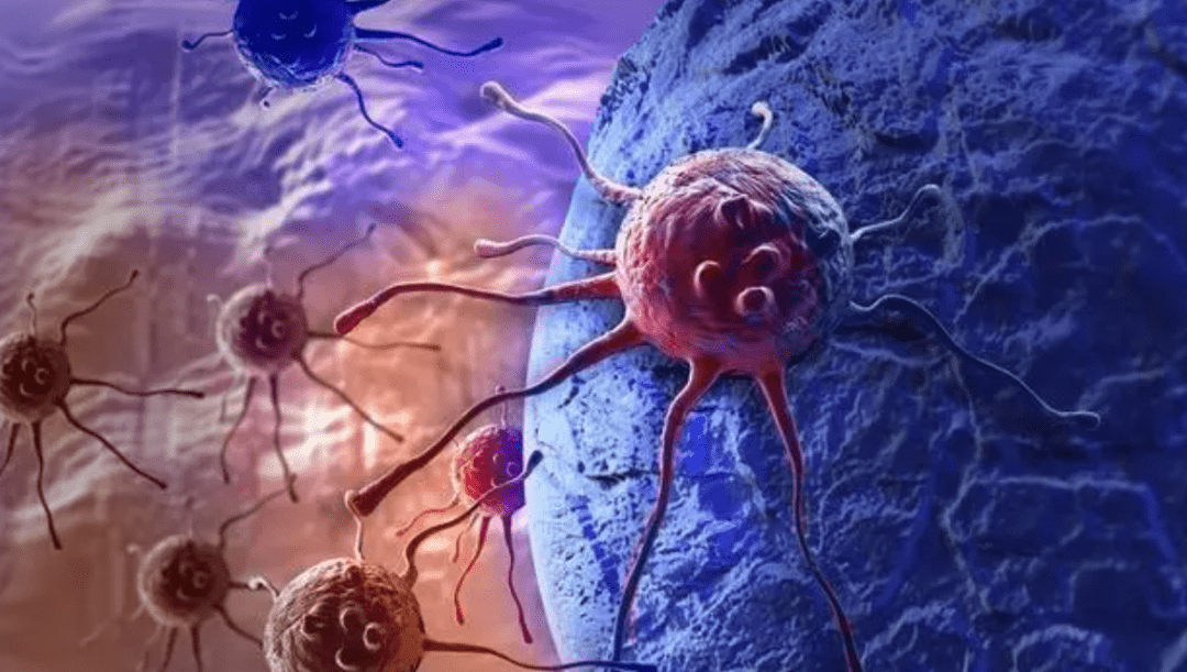 人体补硒好吗是真的吗(人体补硒是药品好还是保健品好)-硒宝网