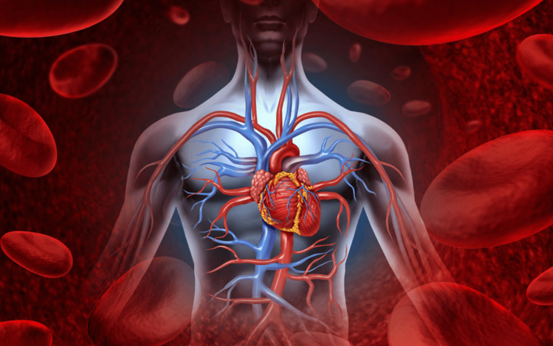 人体补硒好吗是真的吗(人体补硒是药品好还是保健品好)-硒宝网