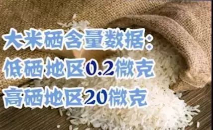 含硒丰富的食物补什么(含硒最多的食物)-硒宝网