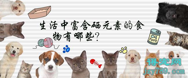 补硒的水果有哪些好处（补硒的水果）-硒宝网