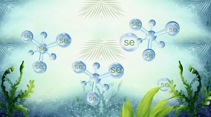 关于补硒的药物有哪些(药物补硒有副作用吗)-硒宝网