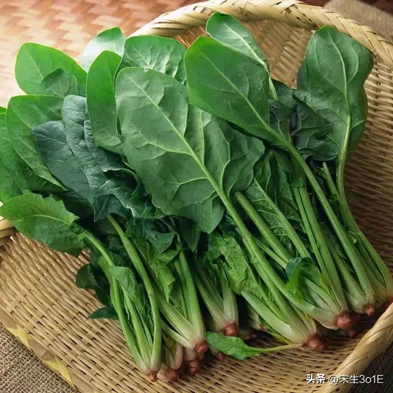 补锌补硒的水果有哪些（补锌的水果有哪些补锌吃啥药）-硒宝网