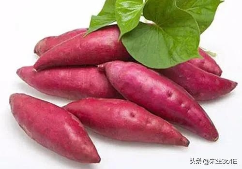 补锌补硒的水果有哪些（补锌的水果有哪些补锌吃啥药）-硒宝网