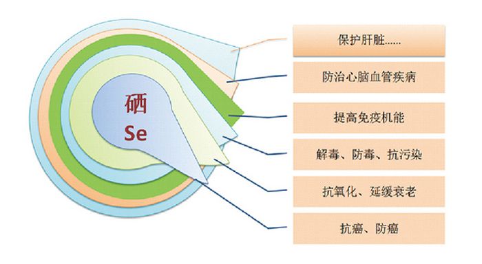 人体补硒的好处和作用（人体补充硒有什么好处）-硒宝网