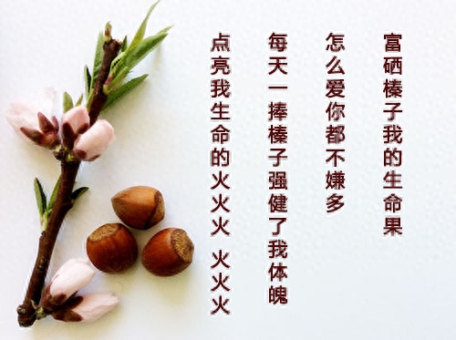 高血压的人可以补硒吗(血压高能补硒吗)-硒宝网