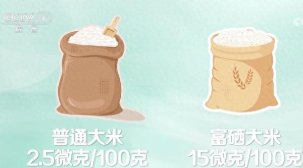 硒元素怎么补最科学的（科学补硒的作用）-硒宝网