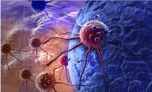 喝酒后可以补硒元素吗（怎样补硒元素）-硒宝网