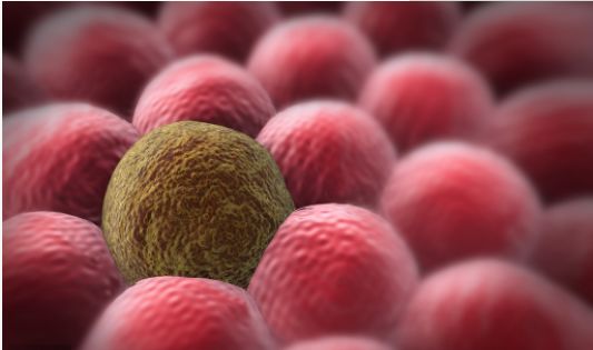 喝酒后可以补硒元素吗（怎样补硒元素）-硒宝网