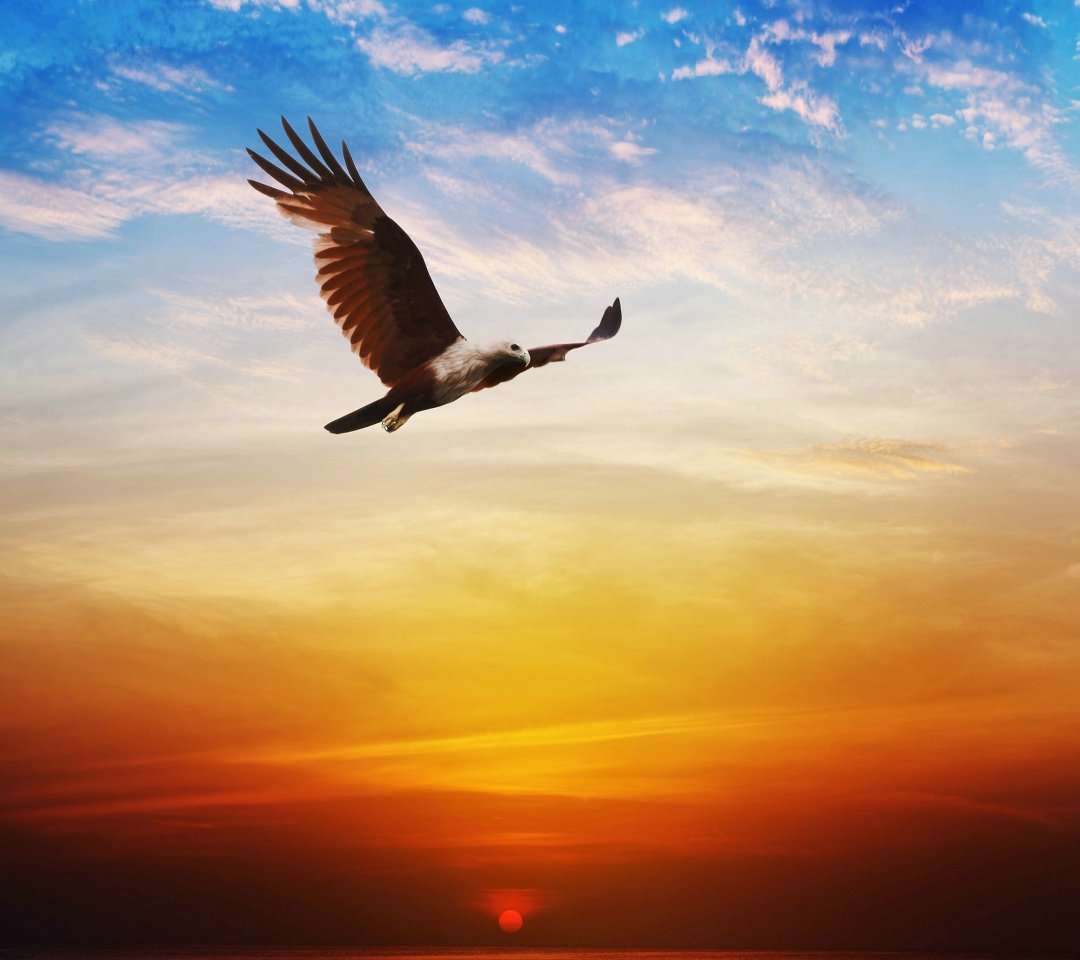 补硒为什么眼睛有点胀（硒对眼睛的重要性）-硒宝网