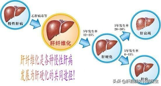 肝炎补硒吃什么素菜好(肝炎补硒有用吗)-硒宝网