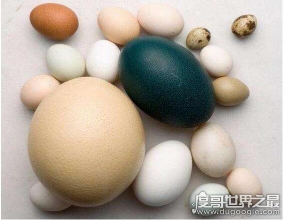 补硒的食物南京哪里有(补硒的营养品有哪些)-硒宝网