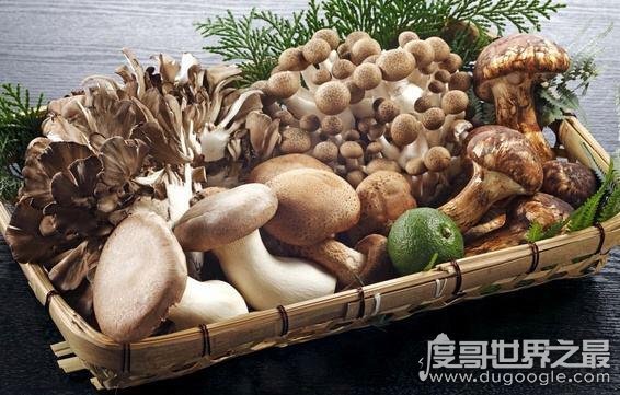 补硒的食物南京哪里有(补硒的营养品有哪些)-硒宝网