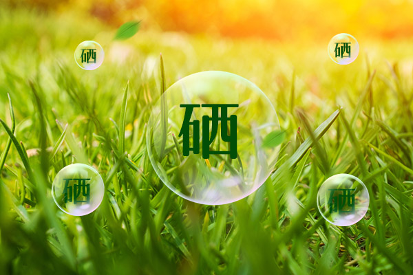 补锌补硒的食物有哪些(补锌硒的食物有哪些)-硒宝网