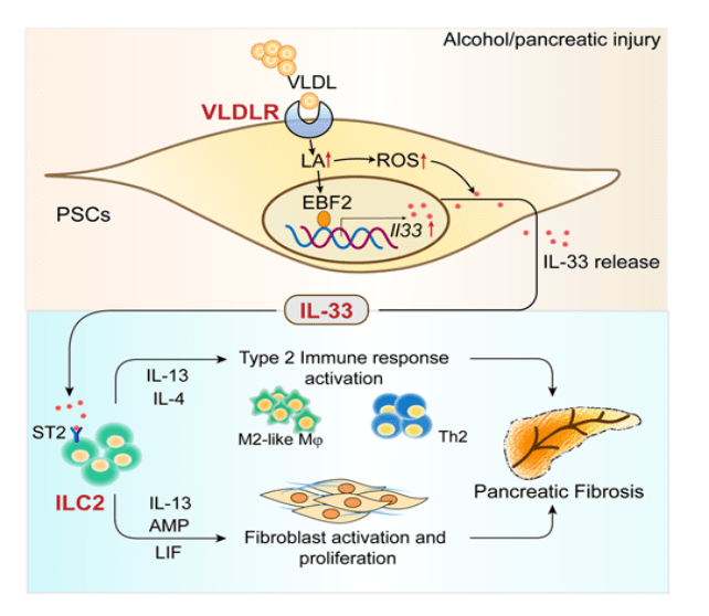 补硒过量多久能代谢掉（硒的代谢）-硒宝网