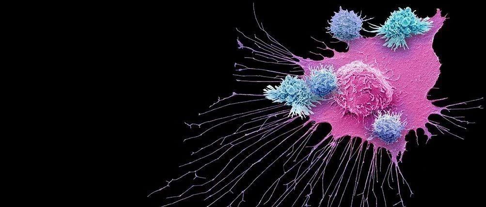 原位癌病人需要补硒吗(癌症补硒)-硒宝网