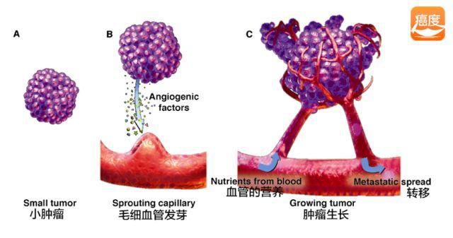 原位癌病人需要补硒吗(癌症补硒)-硒宝网