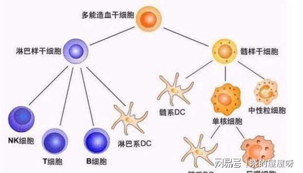 原位癌病人需要补硒吗(癌症补硒)-硒宝网