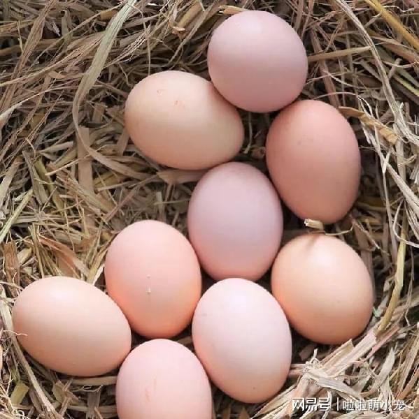 鸡蛋皮能给花卉补硒吗（鸡蛋皮对花有什么营养）-硒宝网