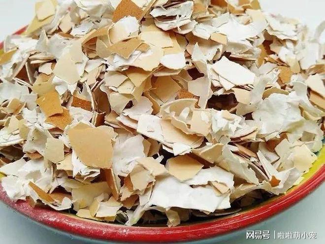 鸡蛋皮能给花卉补硒吗（鸡蛋皮对花有什么营养）-硒宝网