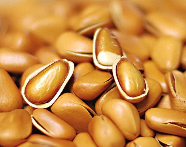 补锌补硒的食物有哪些(补食物补锌硒有什么作用)-硒宝网