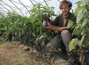 富硒产品需要补多久的(富硒产品检测)-硒宝网