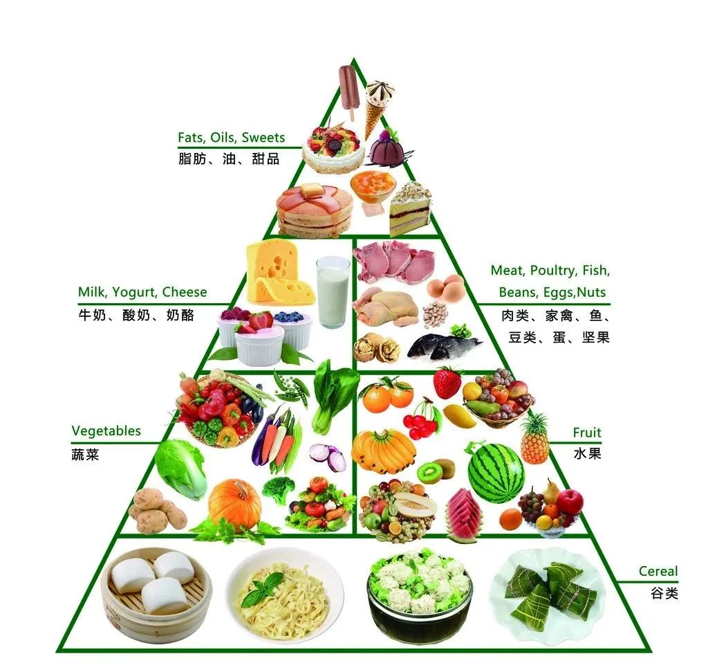 补硒元素是不是抗生素(抗生素是营养素吗)-硒宝网