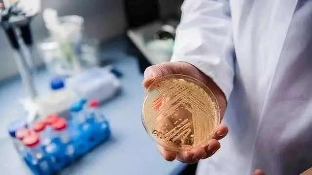 补硒元素是不是抗生素(硒是长寿元素)-硒宝网