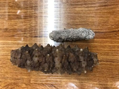 能不能补硒做什么检查(检查硒有什么要求)-硒宝网