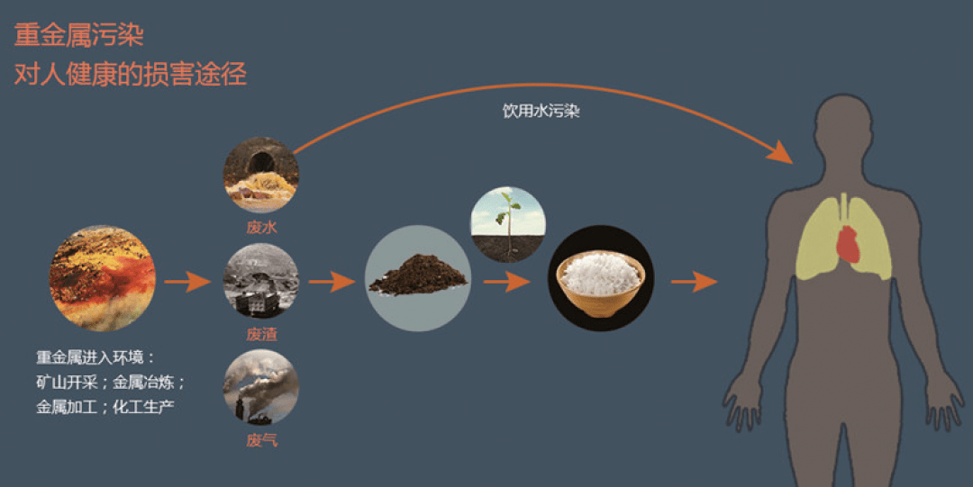 通过大量补硒肝病下降（补硒治愈了我的肝?。?硒宝网
