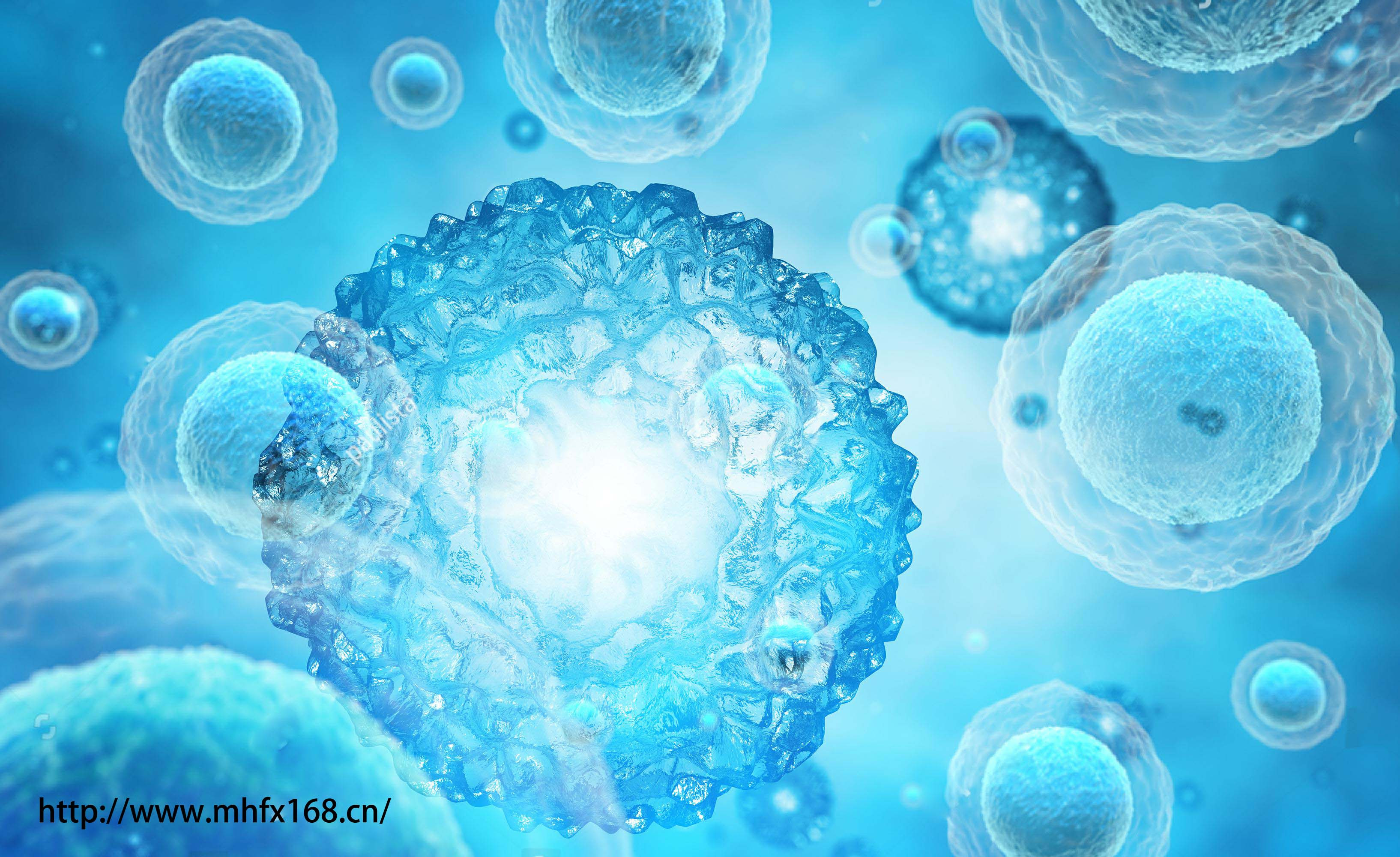 补硒会进入人体细胞吗(人体补硒有什么好处)-硒宝网