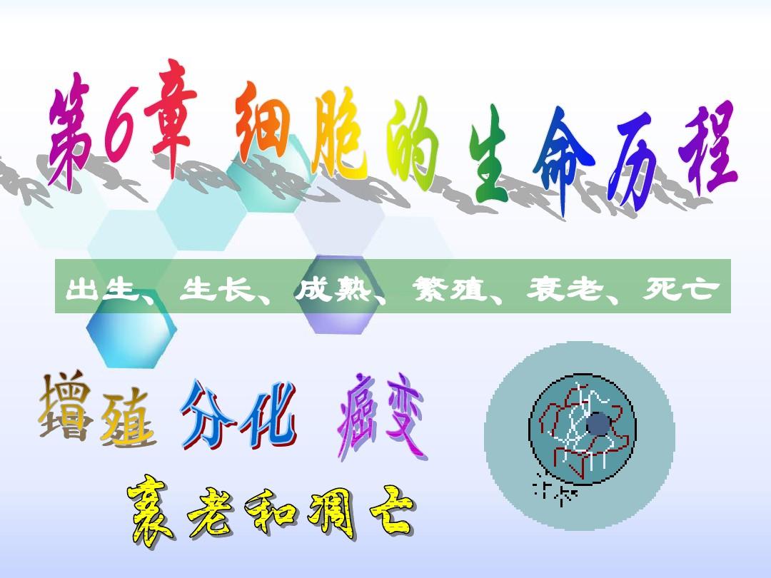 补硒会进入人体细胞吗(硒会在人体积累吗)-硒宝网