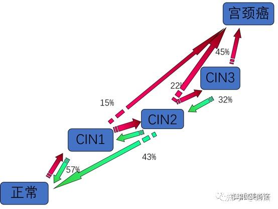 宫颈电切术后能补硒吗(电术能切补宫颈硒元素吗)-硒宝网