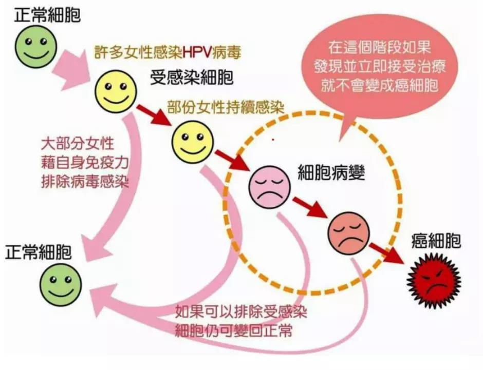 宫颈电切术后能补硒吗(电术能切补宫颈硒元素吗)-硒宝网